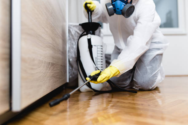 Trusted Santa Rosa, NM Pest Control Experts
