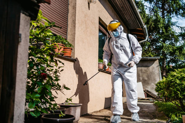 Best Emergency Pest Control  in Santa Rosa, NM