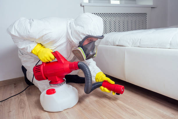 Best Local Pest Control Services  in Santa Rosa, NM