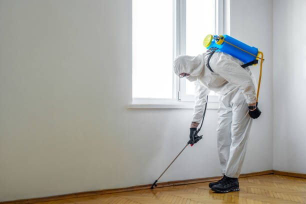 Wasp Removal Services in Santa Rosa, NM