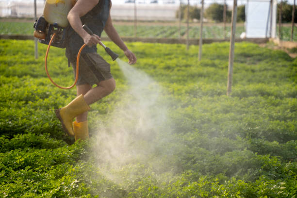 Best Pest Inspection Near Me  in Santa Rosa, NM