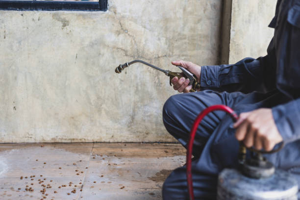 Best Commercial Pest Control Services  in Santa Rosa, NM